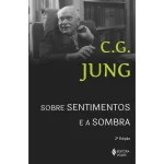 Sobre sentimentos e a sombra: Sessões de perguntas de Winterhur, de Jung, C. G Editora Vozes, capa mole em português, 2015 - Imagem 1