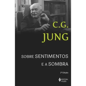 Sobre sentimentos e a sombra: Sessões de perguntas de Winterhur, de Jung, C. G Editora Vozes, capa mole em português, 2015